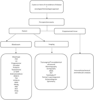 Ovarian tissue transplantation: 10 years of experience at the Bologna University